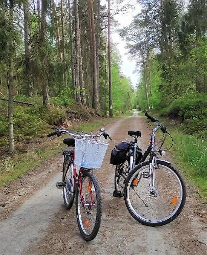 Na Mierzei Wislanej Nad Morzem Apartmán